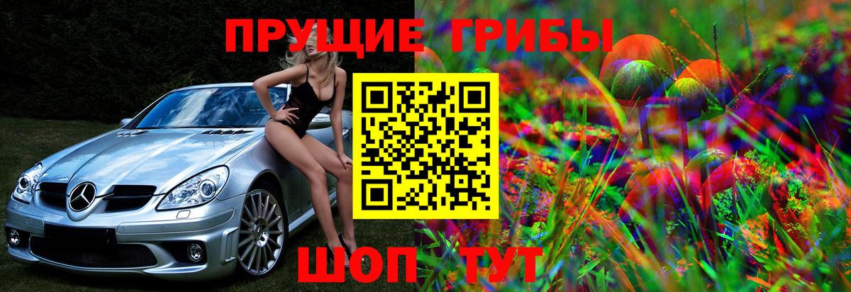 Галлюциногенные грибы Psilocybe Заволжье