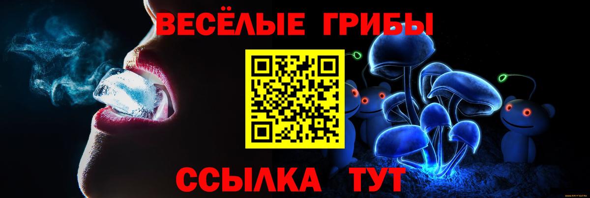 Заволжье  как найти   Вход с VPN  Псилоцибиновые грибы Psilocybe 